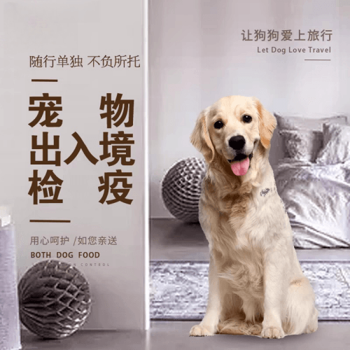 丰台区宠物托运到哥伦比亚猫狗宠物入境规定和