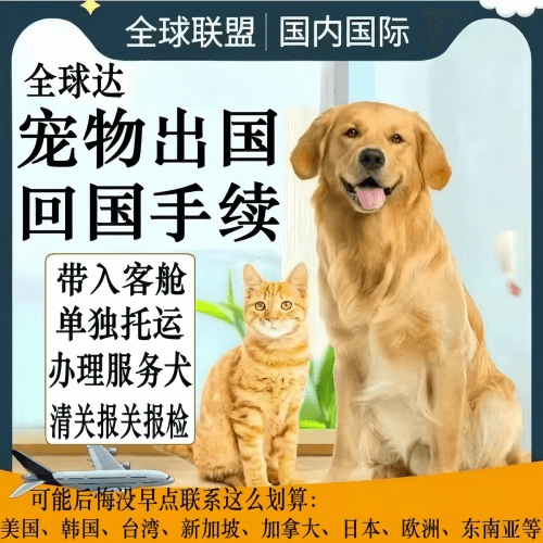 丰台区宠物托运到柬埔寨宠物入境规定和要求