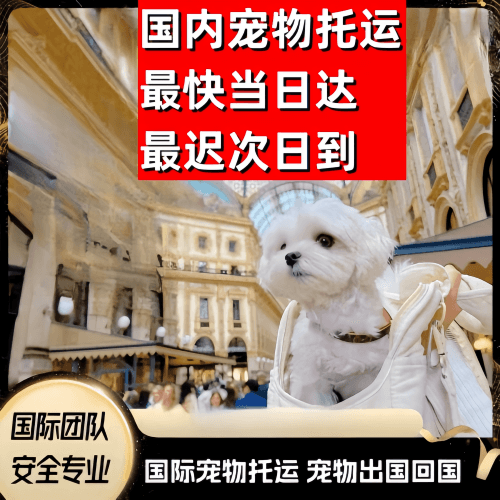 丰台区到澳大利亚（澳洲）宠物入境规定和要求